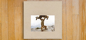 SHELLAC  Dude Incredible